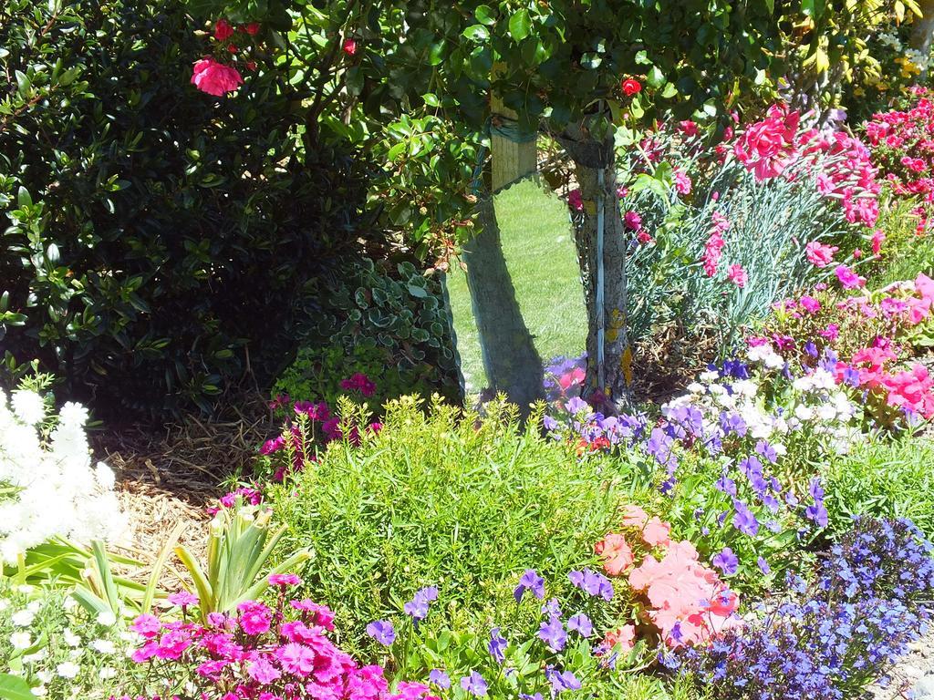 Austin Heights - Kaikoura Bed and Breakfast Buitenkant foto